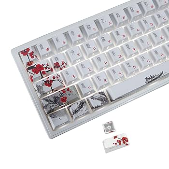 Amazon.com: JSJT PBT Japanese Keycaps-Side Printed Keycap